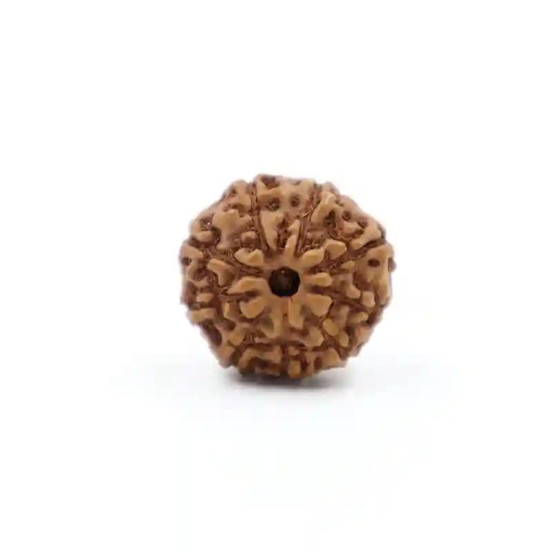 Sharvv 9 mukhi Indonesian Bead Original Rudraksha Bead for Men & Women, Origin Indonesian, Color Brown