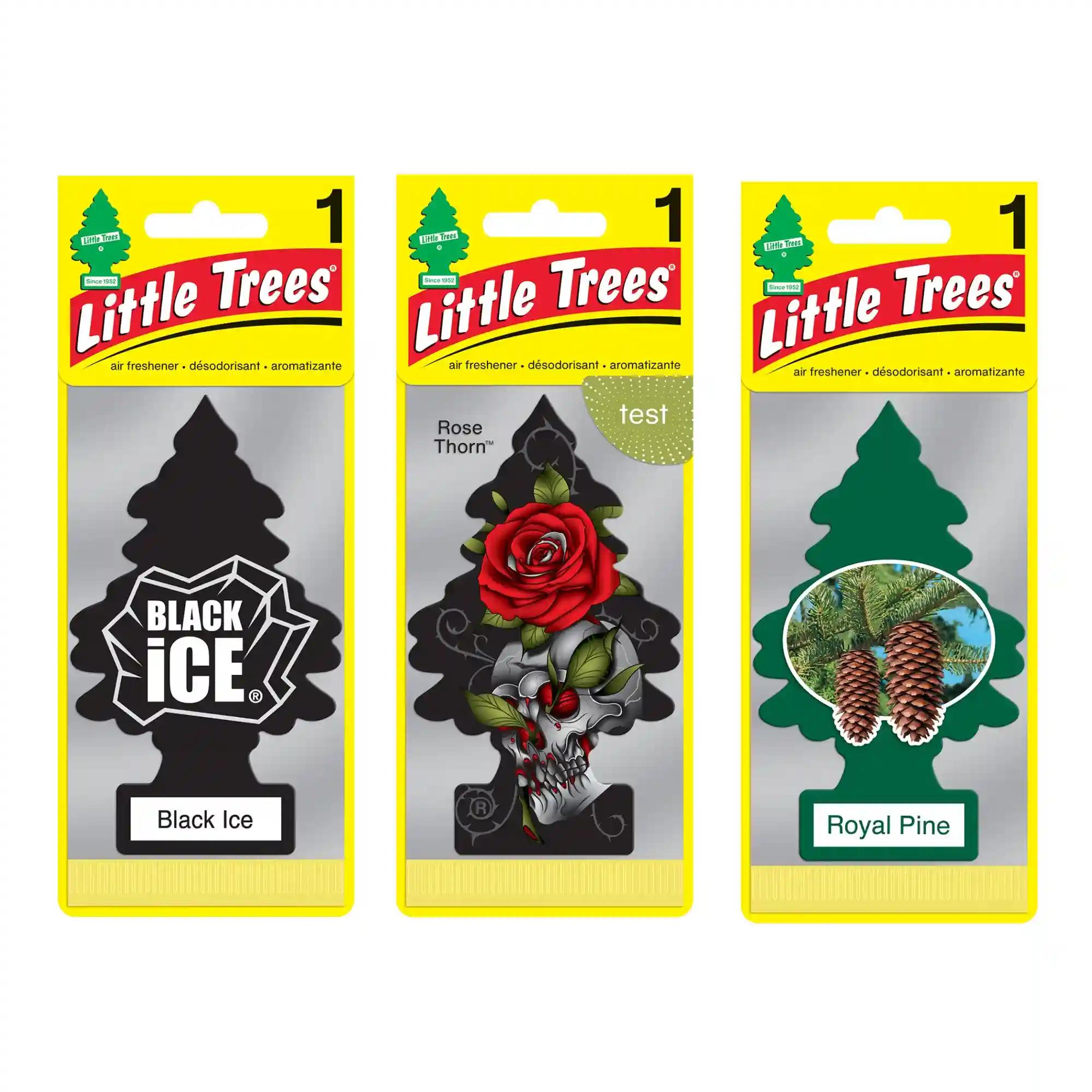 LITTLE TREES Black Ice|Rose Thorn|Royal Pine|Hanging Trees|Combo of 3