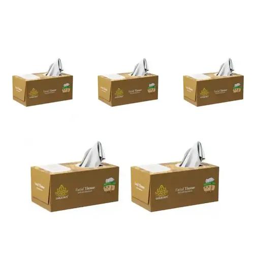 Shrayati Facial Tissue Box Soft Pack - 2 Ply, 100 Pulls Per Pack, Skin-Friendly, Highly Absorbent, Multipurpose Face Tissues in Decorative Tissue Box (Brown, Pack of 5)