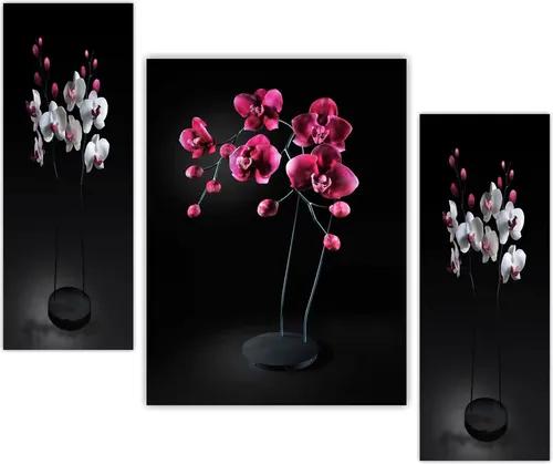 Framed Flower Wall Painting for Home Decor - Pattern 207