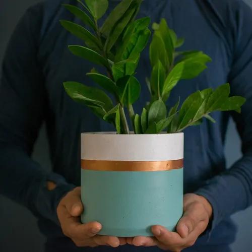 Dwell dapper Indoor Planter Made Of Concrete (5 Inch Height) | Handcrafted | Desktop Planter For Home Decor | Decorative Planter For Living Room (Teal & White)