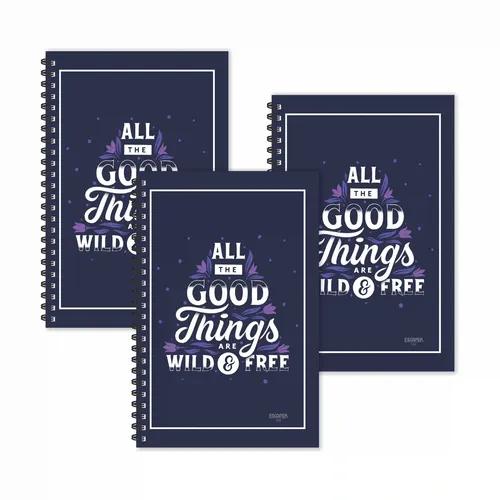 Good Things Motivational Ruled Diaries - Pack Of 3